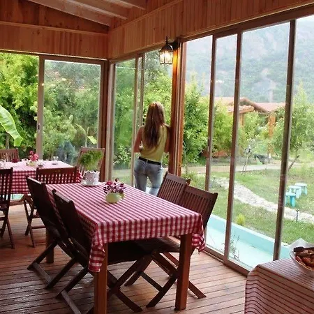 Iz Hotel 3*